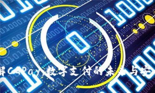 了解CGPay：数字支付的未来与安全性