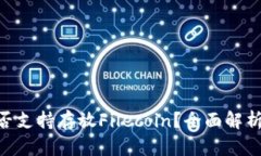 Tokenim是否支持存放Fileco