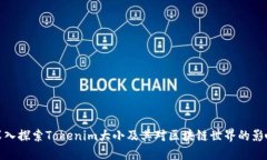 深入探索Tokenim大小及其对