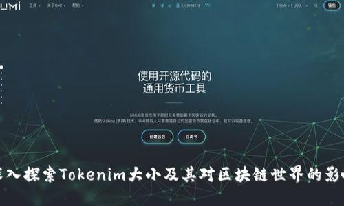 深入探索Tokenim大小及其对区块链世界的影响