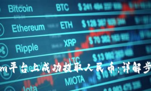 如何在Tokenim平台上成功提取人民币：详解步骤与注意事项