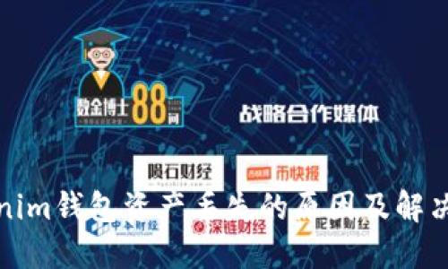 Tokenim钱包资产丢失的原因及解决方案