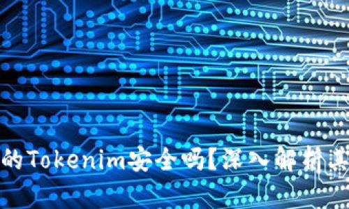 谷歌商店的Tokenim安全吗？深入解析其安全特性