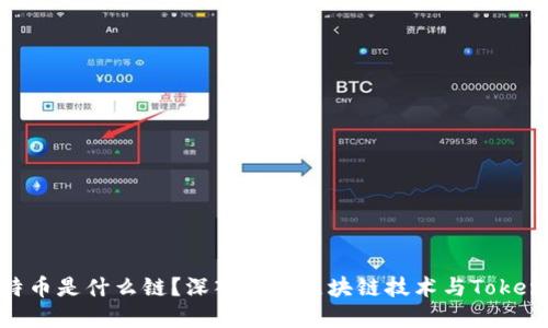 Tokenim的比特币是什么链？深入探讨区块链技术与Tokenim平台的联系