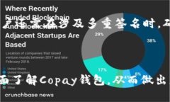    Copay钱包：深入分析其正