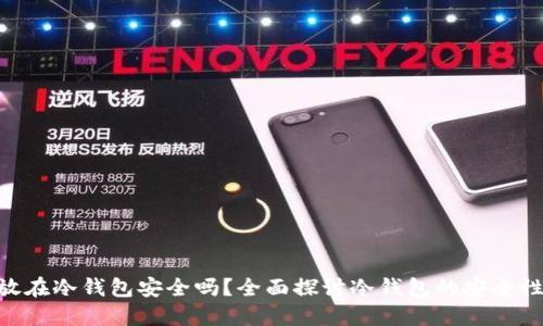 500万放在冷钱包安全吗？全面探讨冷钱包的安全性与风险