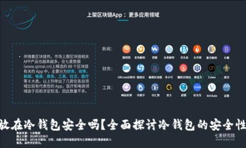 500万放在冷钱包安全吗？全面探讨冷钱包的安全性与风险