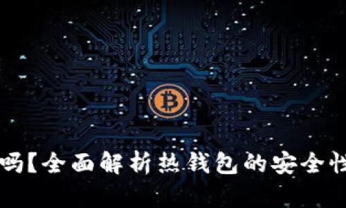 热钱包安全吗？全面解析热钱包的安全性及使用技巧