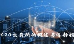 TRC20交易所的概述与选择指