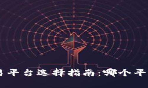 BTC期货交易平台选择指南：哪个平台更适合你?