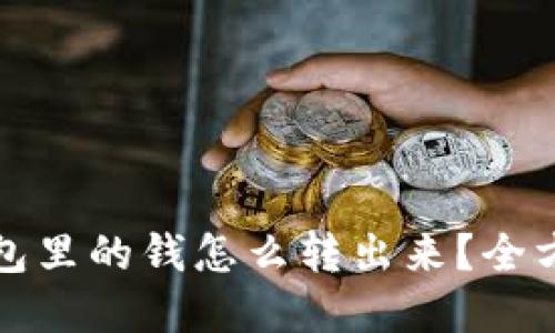 数字钱包里的钱怎么转出来？全方位指南