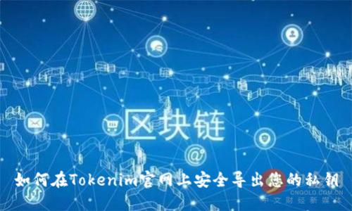 如何在Tokenim官网上安全导出您的私钥