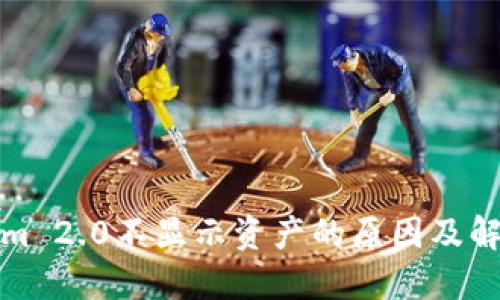 Tokenim 2.0不显示资产的原因及解决方案