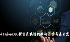 Tokenimapp：探索区块链技术
