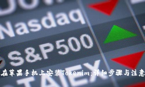 如何在苹果手机上安装Tokenim：详细步骤与注意事项
