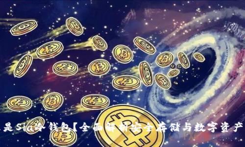 什么是Sia冷钱包？全面解析安全存储与数字资产管理