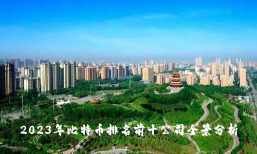 2023年比特币排名前十公司全景分析